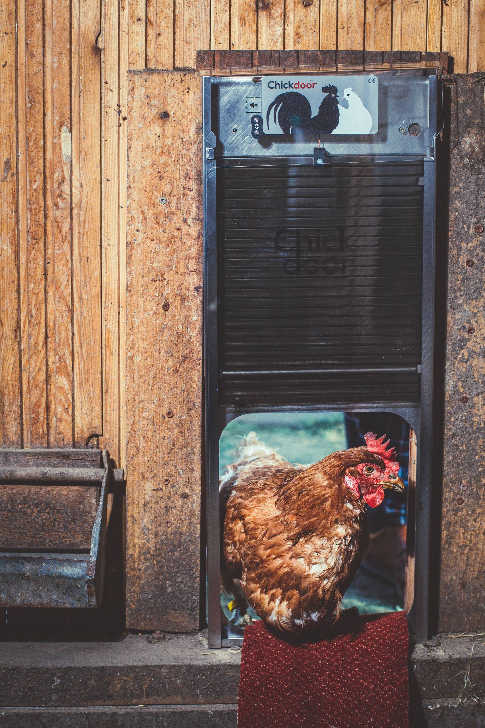 Chickdoor foto 7