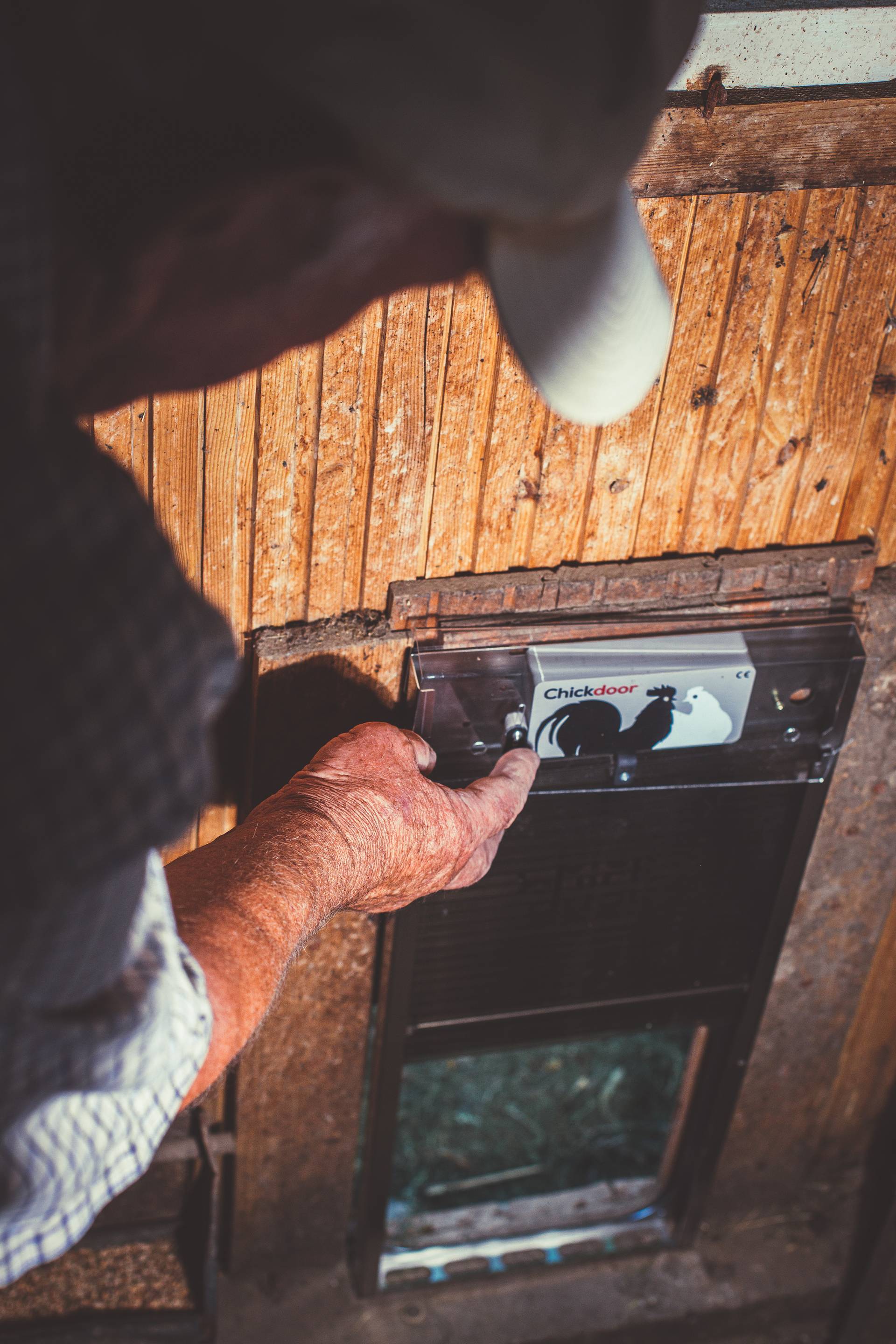 Chickdoor foto 8