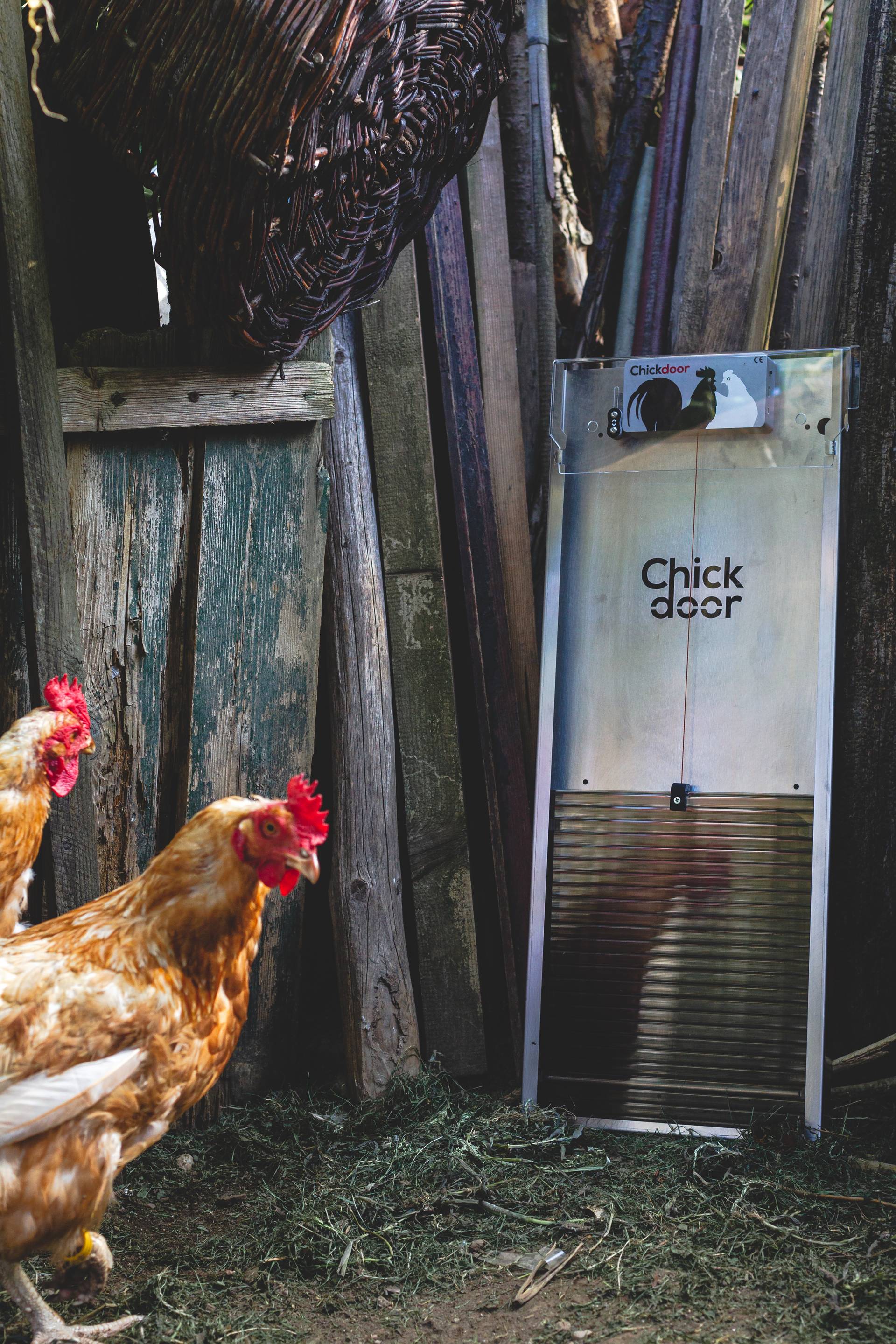 Chickdoor foto 9